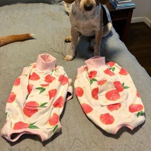 SOLD - dog recovery body suits